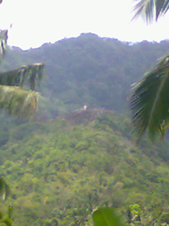 recall__makulot_2007_2011