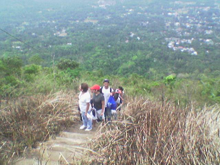recall__makulot_2007_2028