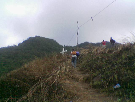 recall__makulot_2007_2030