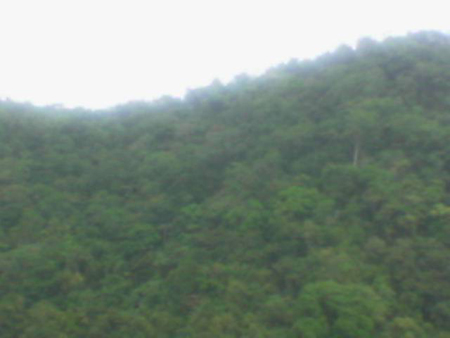 recall__makulot_2007_2040