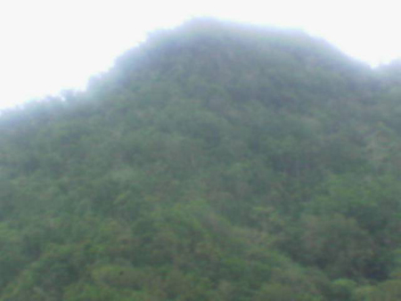recall__makulot_2007_2041