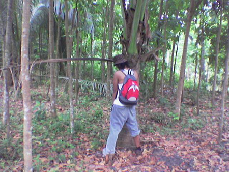 recall__makulot_2007_2061