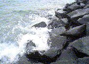 The Seaside