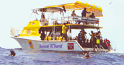 Excursion Boat