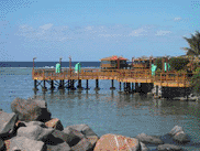 The Green Island