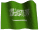 Saudi Arabia's National Flag