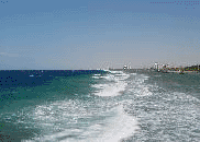 The Red Sea