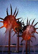 Sunflower Fountains