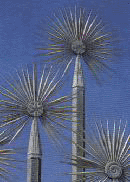 Five Fan Palms