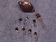 transistors