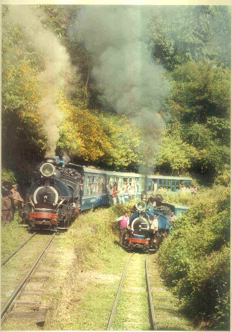 Two DHR Trains together