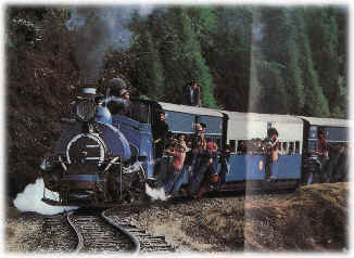 A Packed DHR Train