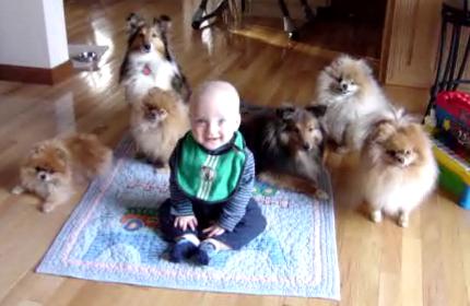 All 7 kids
