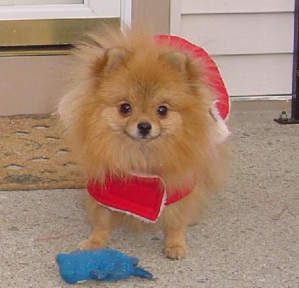 Autumn in stunning red coat and also pictured, Jeremiah