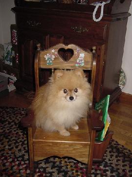 Sitting in a chair