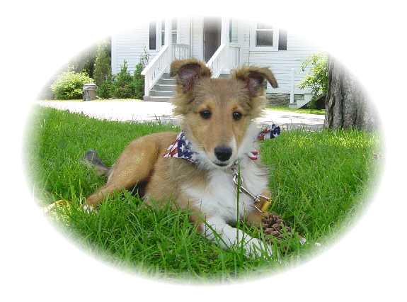 I'm 4 months old. OK, so I'm a little funny looking right now.