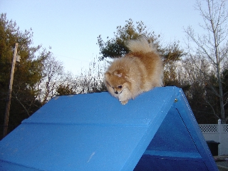 I can do the A-frame!