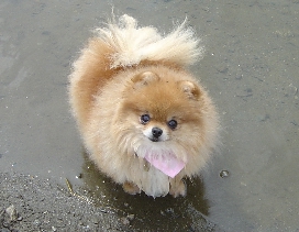 I'm cute even when wet!