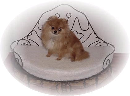 I'm on the pretty bed