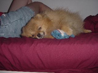 On the bed at camp with Mommy and BF