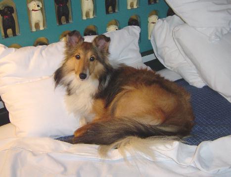 I love this bed!