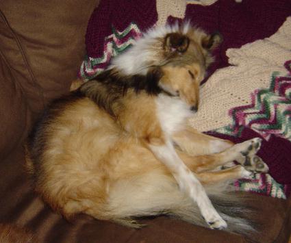 Long legged Holly