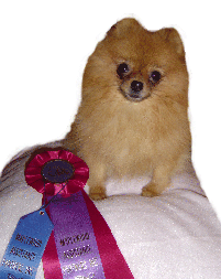 I won Mommy - I won!