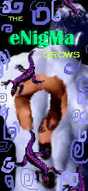 the eNiGmA grows, issue one
