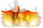 l'au F�nix
