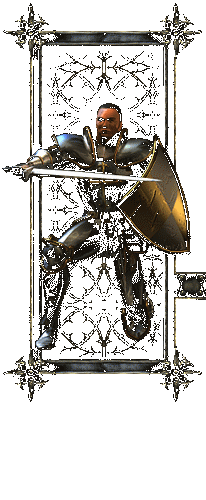 Paladin