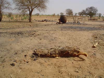 Burned village