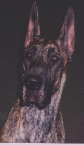 Head study of Lucy