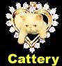 About cattery