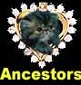 Our ancestors