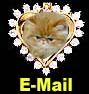 Our e-mail