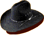 Cowboy hat