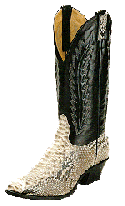 Left Cowboy Boot