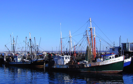 Colorful Fishing Boats lined up at the main pier in Provincetown MA