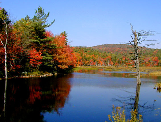 A lake in the fall with all the bright color leaves reflected in the water