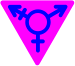 Transgender Symbol