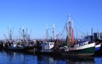 Fishing Boats, Provincetown, MA