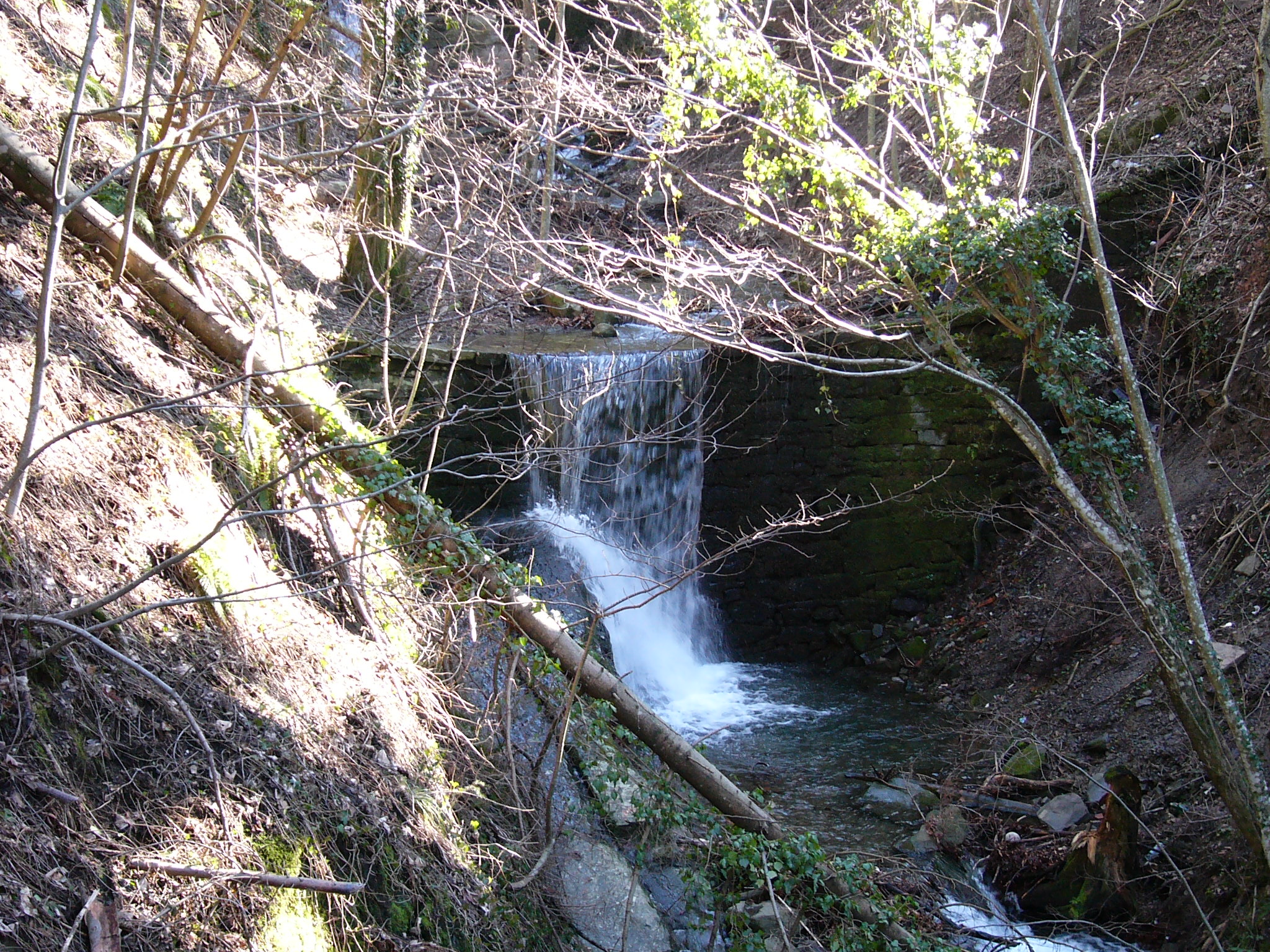 Cascata