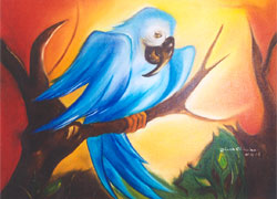 P27