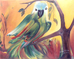 P29