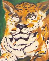 Onca Pintada
