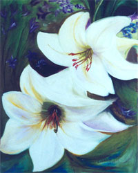 Lillies Da M�e