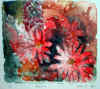 flower.jpg (28276 bytes)