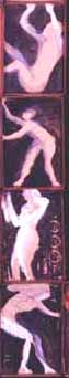 Social Cels, mixed media in cardboard boxes, each box is 16" by 9"
