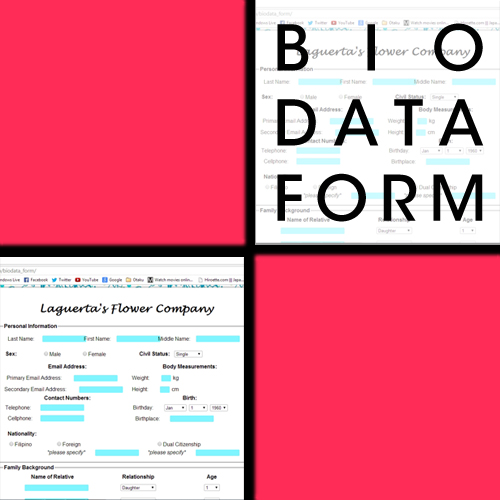 biodata