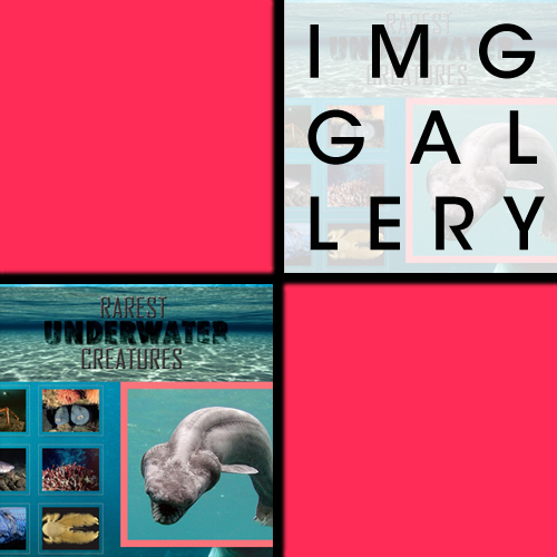 img gallery